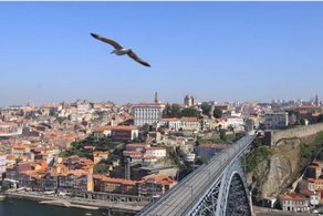 Entrada de novas empresas representou 30% da ocupação de escritórios no Porto